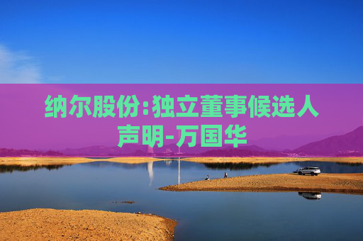 纳尔股份:独立董事候选人声明-万国华