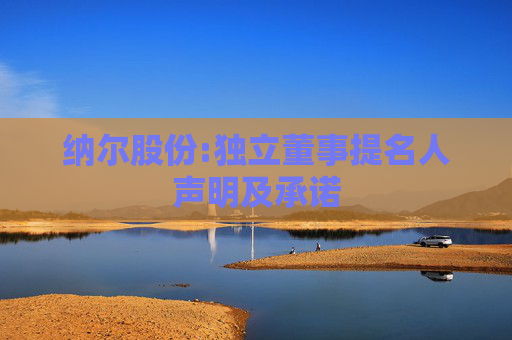 纳尔股份:独立董事提名人声明及承诺