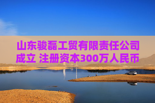 山东骏磊工贸有限责任公司成立 注册资本300万人民币  第1张