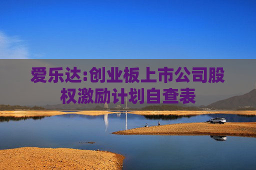 爱乐达:创业板上市公司股权激励计划自查表