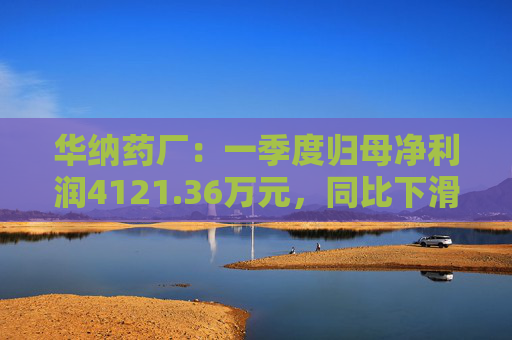 华纳药厂：一季度归母净利润4121.36万元，同比下滑31.37%