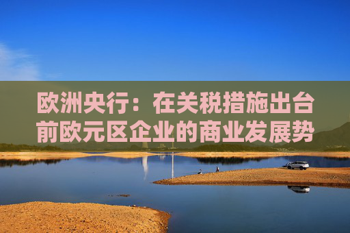 欧洲央行：在关税措施出台前欧元区企业的商业发展势头有所改善