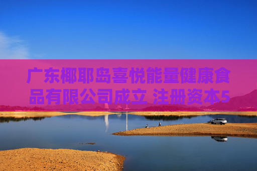 广东椰耶岛喜悦能量健康食品有限公司成立 注册资本500万人民币