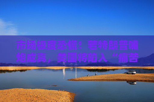 市场极度恐慌！若特朗普嘴炮成真，美国将陷入“痛苦漩涡”  第1张
