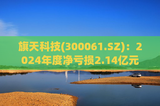 旗天科技(300061.SZ)：2024年度净亏损2.14亿元
