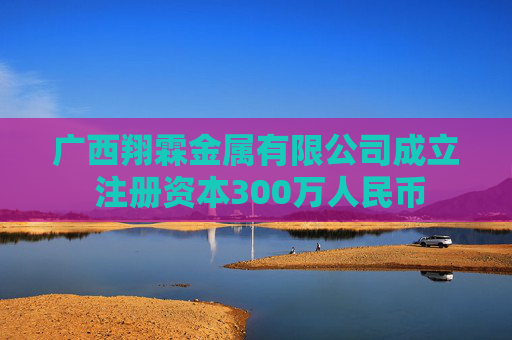 广西翔霖金属有限公司成立 注册资本300万人民币