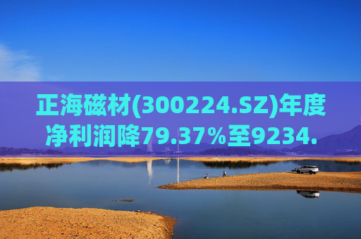 正海磁材(300224.SZ)年度净利润降79.37%至9234.02万元  高性能钕铁硼永磁材料销量实现连续七年增长 第1张