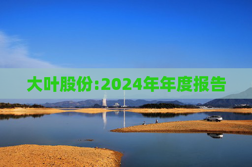 大叶股份:2024年年度报告