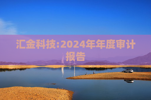 汇金科技:2024年年度审计报告