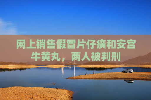 网上销售假冒片仔癀和安宫牛黄丸，两人被判刑