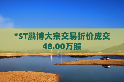 *ST鹏博大宗交易折价成交48.00万股