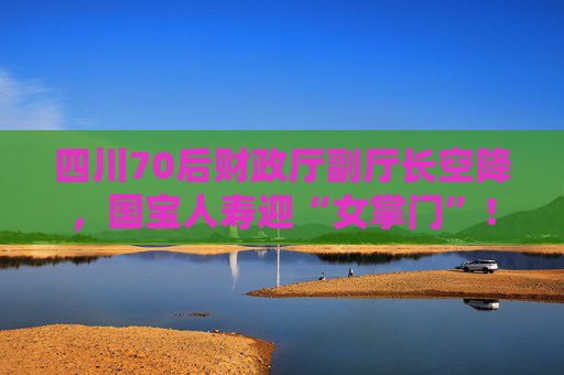 四川70后财政厅副厅长空降，国宝人寿迎“女掌门”！曾任自贡副市长四年