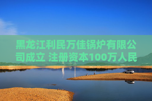 黑龙江利民万佳锅炉有限公司成立 注册资本100万人民币  第1张