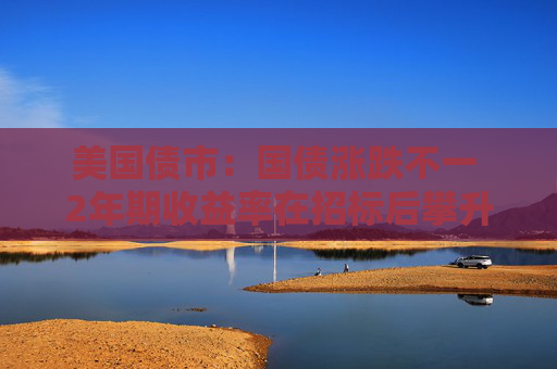 美国债市：国债涨跌不一 2年期收益率在招标后攀升