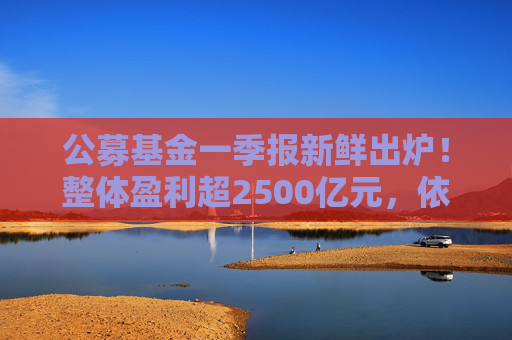 公募基金一季报新鲜出炉！整体盈利超2500亿元，依旧看好科技、大消费  第1张