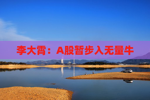 李大霄：A股暂步入无量牛