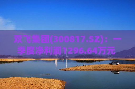 双飞集团(300817.SZ)：一季度净利润1296.64万元 同比下降0.80%  第1张