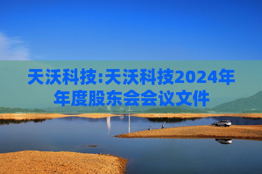 天沃科技:天沃科技2024年年度股东会会议文件
