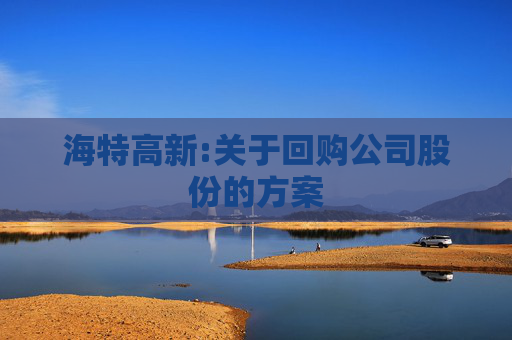 海特高新:关于回购公司股份的方案
