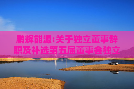 鹏辉能源:关于独立董事辞职及补选第五届董事会独立董事的公告  第1张