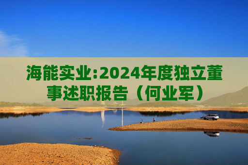 海能实业:2024年度独立董事述职报告（何业军）