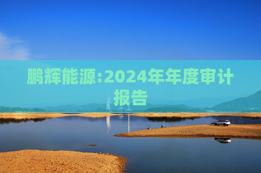 鹏辉能源:2024年年度审计报告
