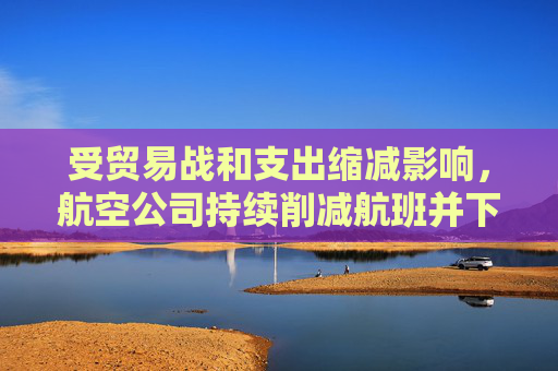 受贸易战和支出缩减影响，航空公司持续削减航班并下调盈利预期  第1张