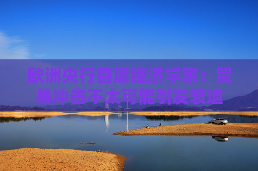 欧洲央行首席经济学家：贸易冲击不太可能引发衰退  第1张