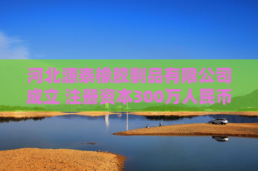 河北源泰橡胶制品有限公司成立 注册资本300万人民币