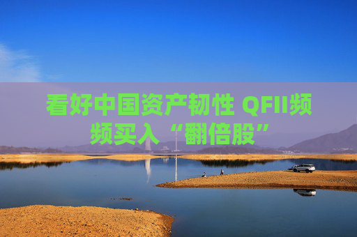 看好中国资产韧性 QFII频频买入“翻倍股”
