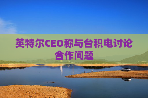 英特尔CEO称与台积电讨论合作问题