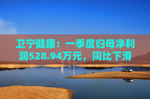 卫宁健康：一季度归母净利润528.94万元，同比下滑68.18%  第1张