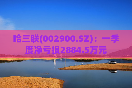 哈三联(002900.SZ)：一季度净亏损2884.5万元