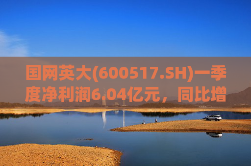 国网英大(600517.SH)一季度净利润6.04亿元，同比增长45.22%
