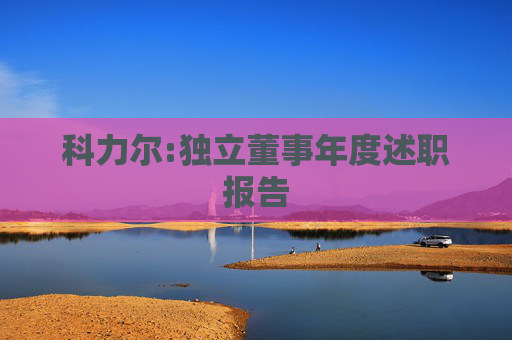 科力尔:独立董事年度述职报告
