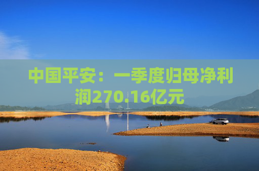 中国平安：一季度归母净利润270.16亿元