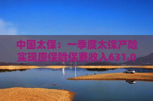 中国太保：一季度太保产险实现原保险保费收入631.08亿元，同比增长1.0%