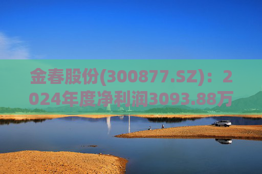金春股份(300877.SZ)：2024年度净利润3093.88万元 拟10派1元