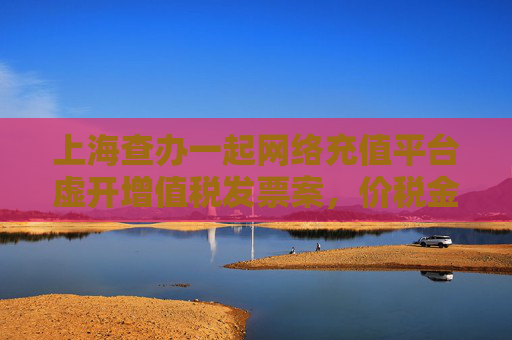 上海查办一起网络充值平台虚开增值税发票案，价税金额逾9亿