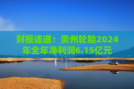 财报速递：贵州轮胎2024年全年净利润6.15亿元