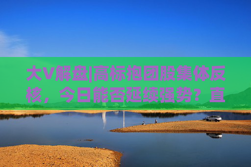 大V解盘|高标抱团股集体反核，今日能否延续强势？直播解读中