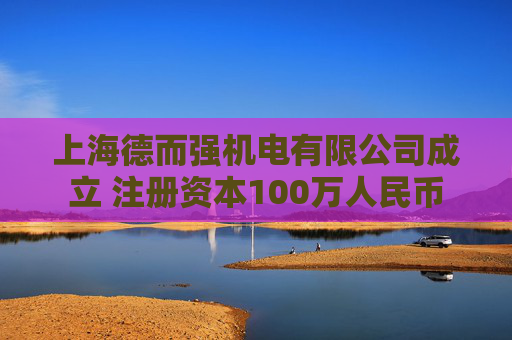 上海德而强机电有限公司成立 注册资本100万人民币  第1张