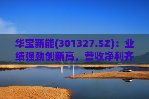 华宝新能(301327.SZ)：业绩强劲创新高，营收净利齐突破