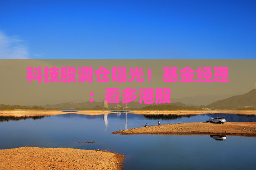 科技股调仓曝光！基金经理：看多港股