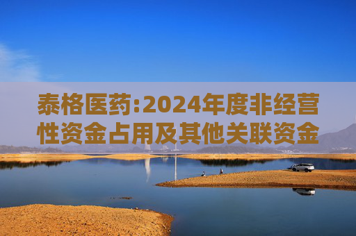 泰格医药:2024年度非经营性资金占用及其他关联资金往来情况的专项报告