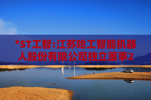 *ST工智:江苏哈工智能机器人股份有限公司独立董事2024年度述职报告（刘世青已离职）