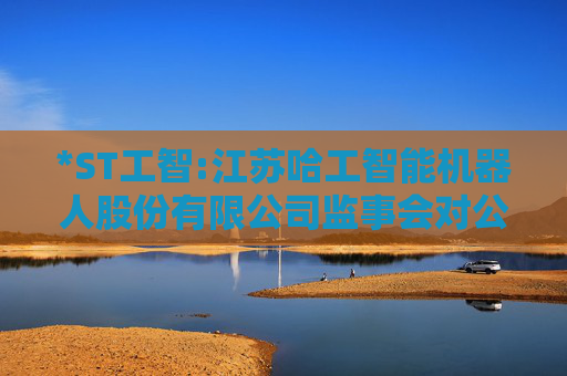 *ST工智:江苏哈工智能机器人股份有限公司监事会对公司2024年度内部控制评价报告的意见