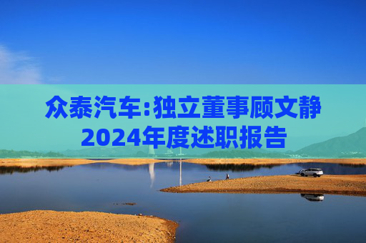 众泰汽车:独立董事顾文静2024年度述职报告