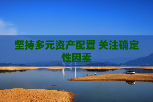 坚持多元资产配置 关注确定性因素  第1张