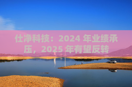 仕净科技：2024 年业绩承压，2025 年有望反转  第1张